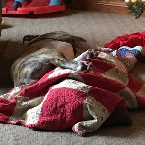 Meet your Posher, Donna